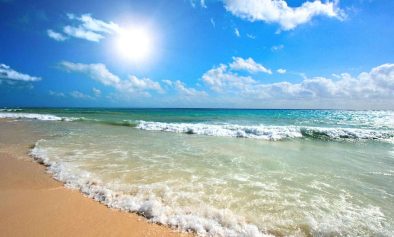 Kalia A16 Private One Bedroom Apartment Sunny Beach Dış mekan fotoğraf